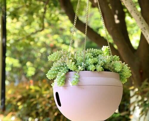 Vaso di fiori con catene