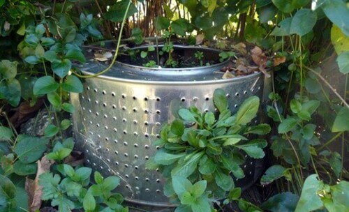 Riciclare in giardino