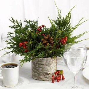 Il vischio: come usarlo per decorare la casa