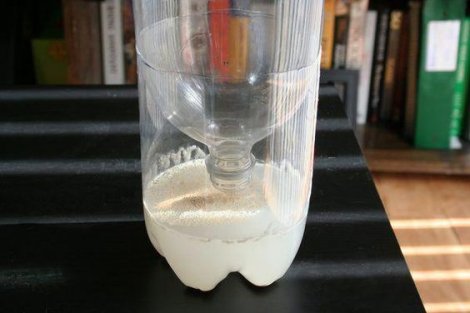 Sbarazzarsi degli insetti in casa: le zanzare