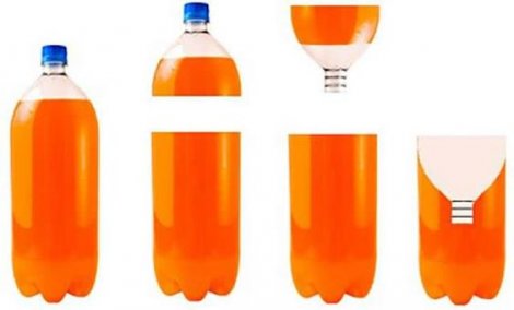 Trappola per scarafaggi