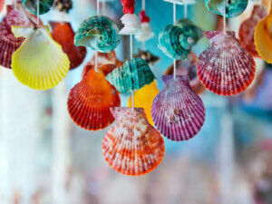 Idee per decorare la vostra casa con le conchiglie