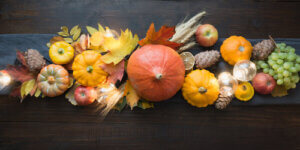 Frutta e verdure secche per la decorazione
