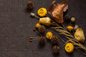 Mazzo di fiori essiccati dai colori autunnali