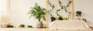 Decorazioni primaverili con piante verdi