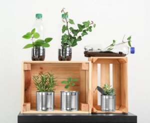 Decorare con le bottiglie di plastica: riciclare divertendosi!