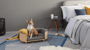 Mobili alla moda per animali domestici