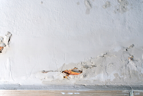 Crepe causate dall'umidità sul muro.