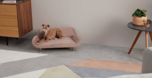 Divano alla moda per cane