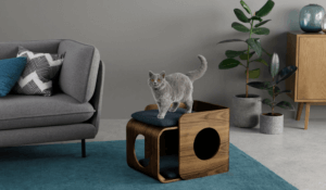 Mobili alla moda per animali domestici in casa