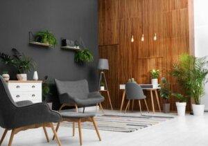 Come decorare con le piante gli interni della casa