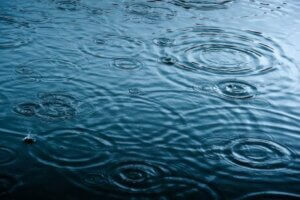 Pozzanghera di acqua stagnante