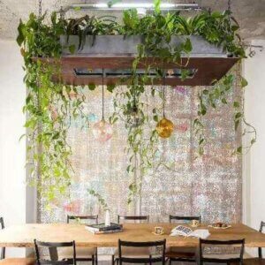 Idee per decorare con le piante pendenti