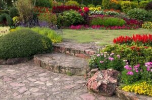 Giardino estivo: un'esplosione di colori