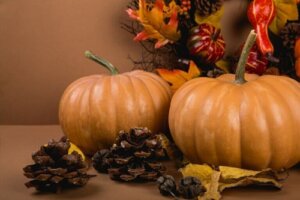Elementi fondamentali per decorare in autunno