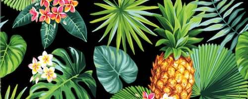 Stampa con foglie, frutti e fiori di piante tropicali.