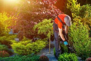 5 consigli per preparare il giardino all'arrivo dell'estate