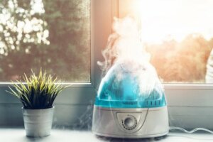 Umidificatore e nebulizzatore: le differenze