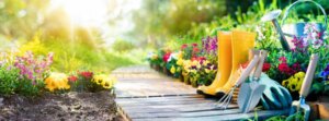 Consigli per progettare un giardino perfetto