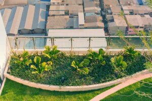 Come creare un orto urbano sul terrazzo