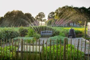 Recinzioni e tralicci per delimitare il giardino