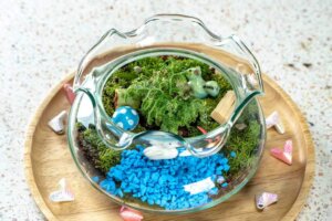 Come creare un giardino acquatico a casa