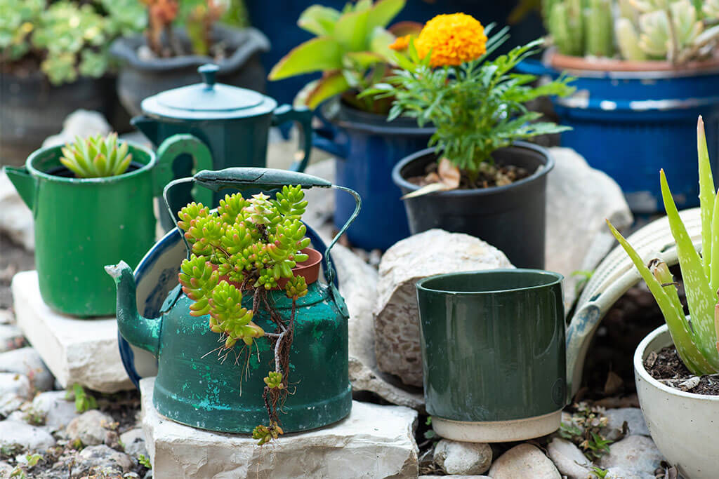 5 vasi riciclati e originali per decorare il giardino
